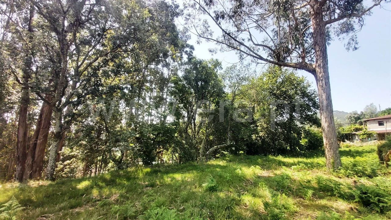 Terreno para Venda em Lanhoso Foto 2