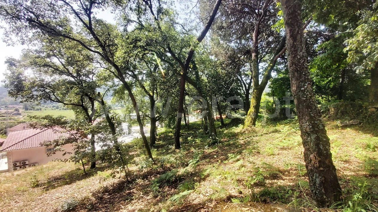 Terreno para Venda em Lanhoso Foto 3