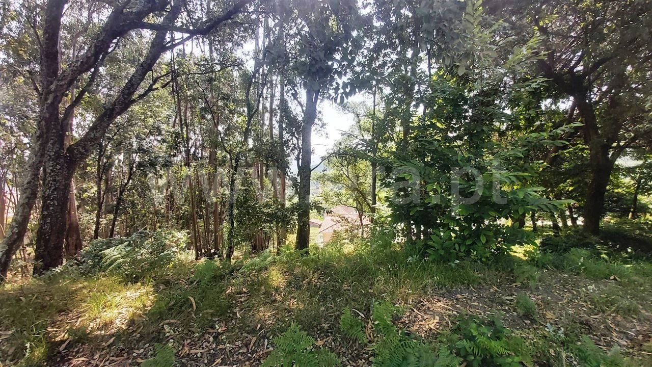 Terreno para Venda em Lanhoso Foto 7