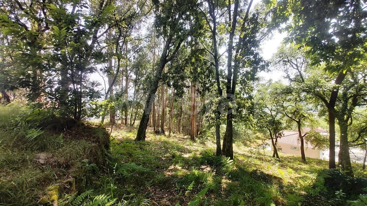 Terreno para Venda em Lanhoso Foto 8