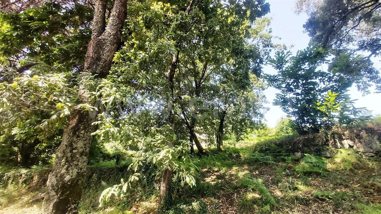 Terreno para Venda em Lanhoso Foto 9