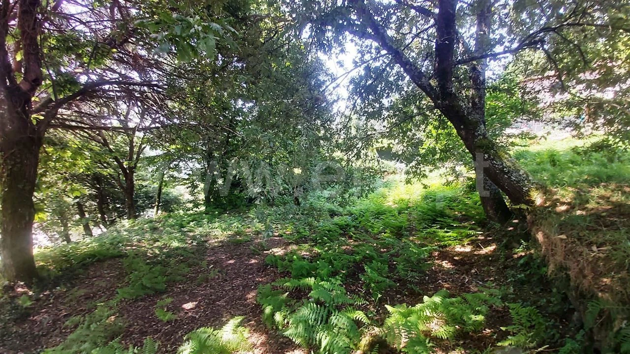 Terreno para Venda em Lanhoso Foto 10