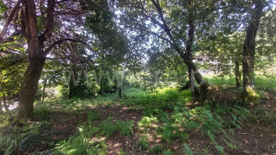 Terreno para Venda em Lanhoso Foto 16