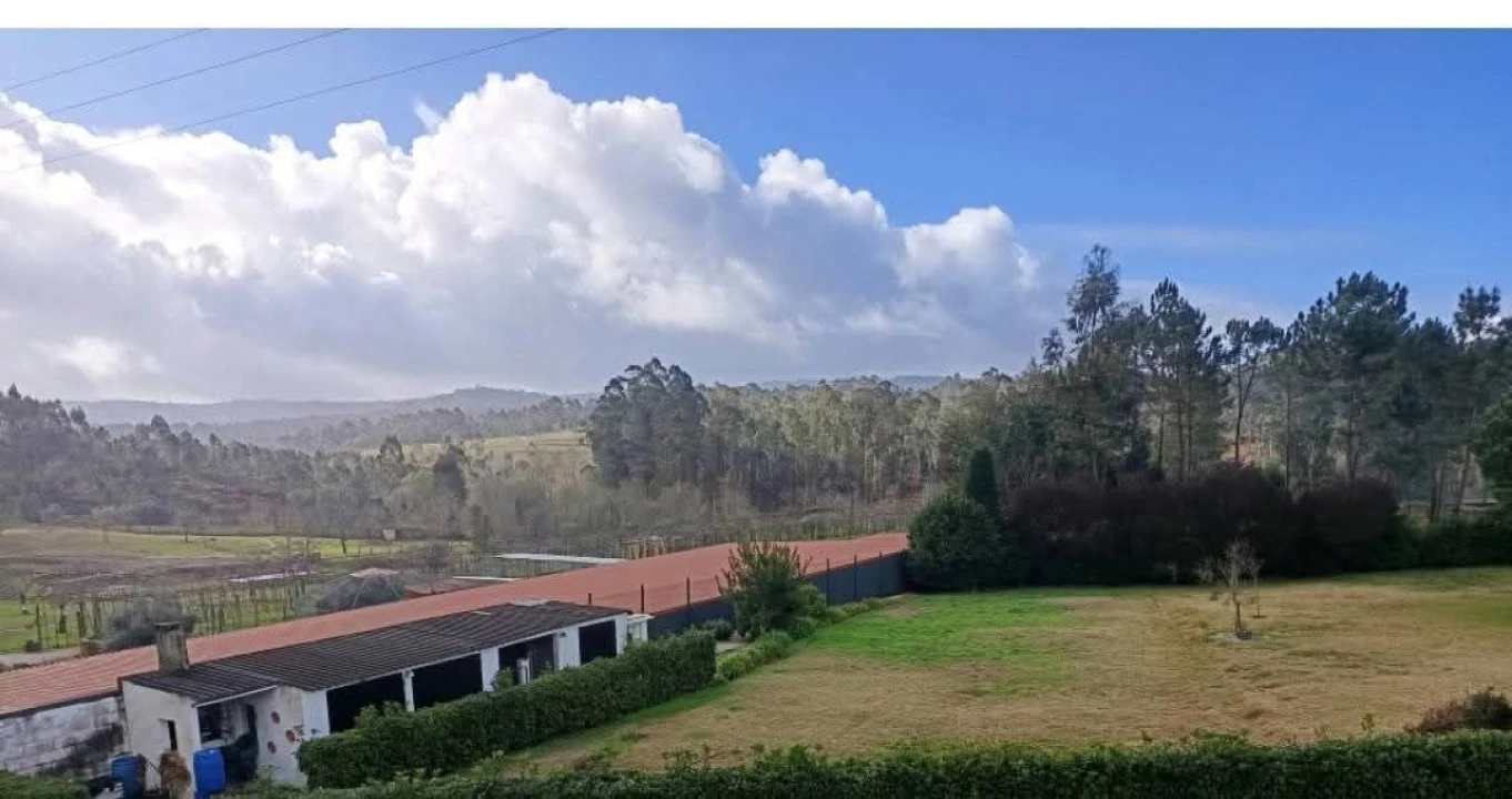 Terreno para Venda em Fragoso Foto 2