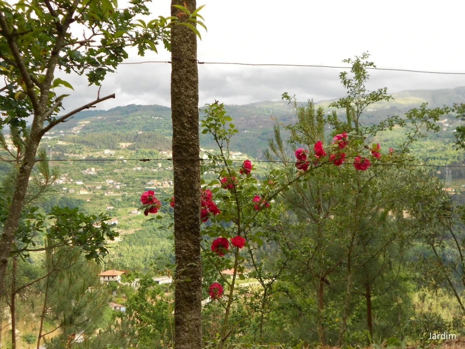 Quinta T4 para Venda em Paços de Gaiolo Foto 66