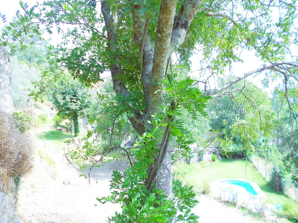 Quinta T4 para Venda em Paços de Gaiolo Foto 56