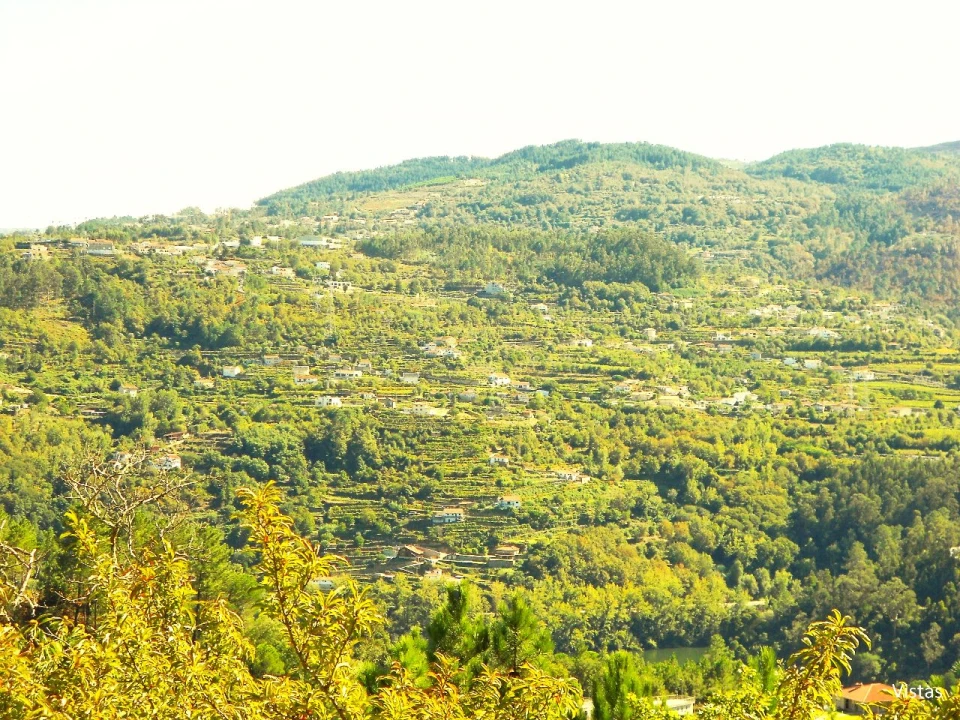 Quinta T4 para Venda em Paços de Gaiolo Foto 63