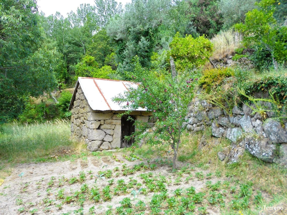 Quinta T4 para Venda em Paços de Gaiolo Foto 69