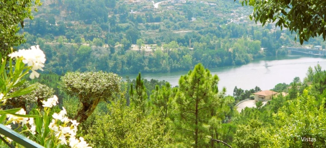 Quinta T4 para Venda em Paços de Gaiolo Foto 45