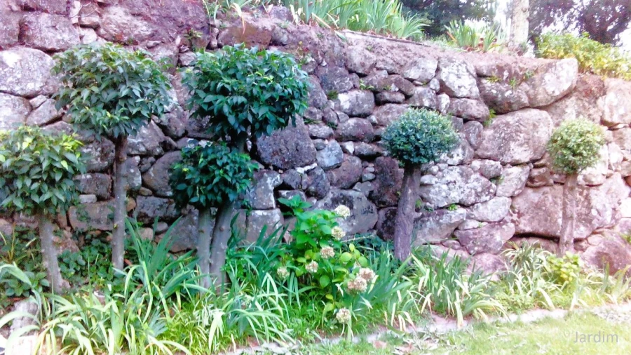 Quinta T4 para Venda em Paços de Gaiolo Foto 48