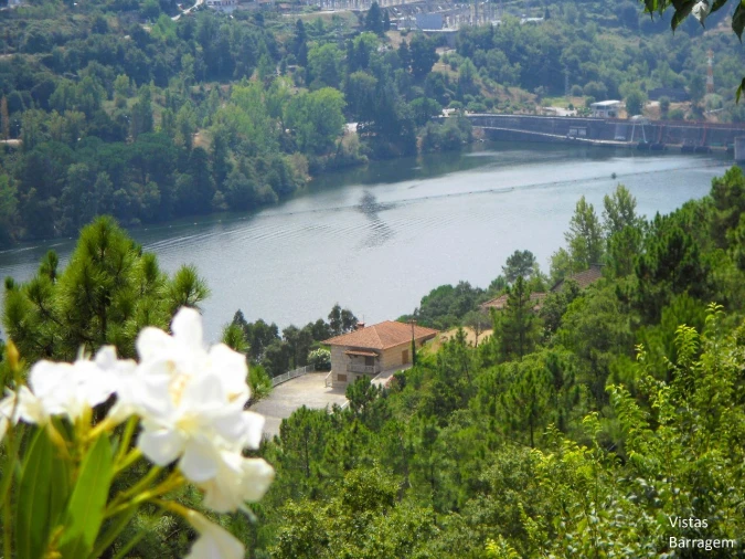 Quinta T4 para Venda em Paços de Gaiolo Foto 44