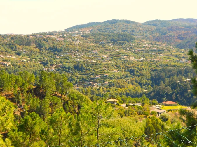 Quinta T4 para Venda em Paços de Gaiolo Foto 62