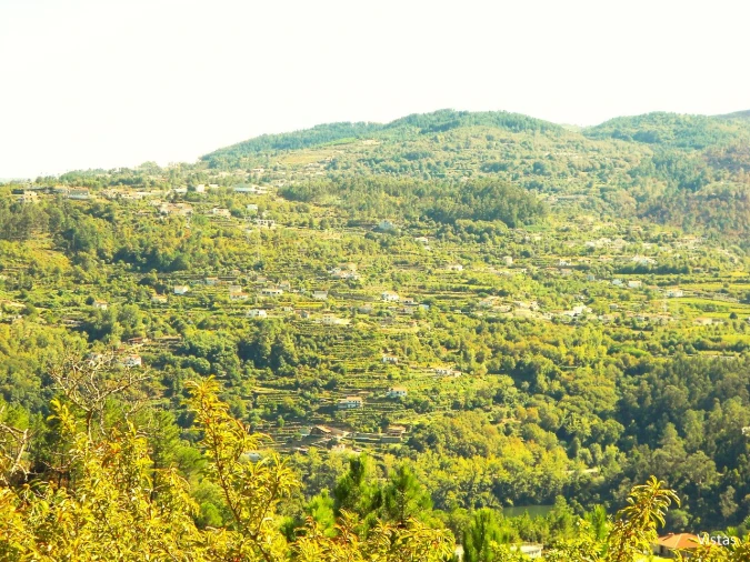 Quinta T4 para Venda em Paços de Gaiolo Foto 63