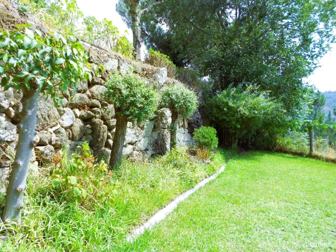 Quinta T4 para Venda em Paços de Gaiolo Foto 49