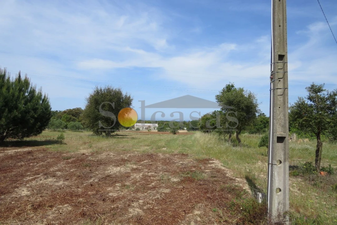 Terreno para Venda em Melides Foto 4
