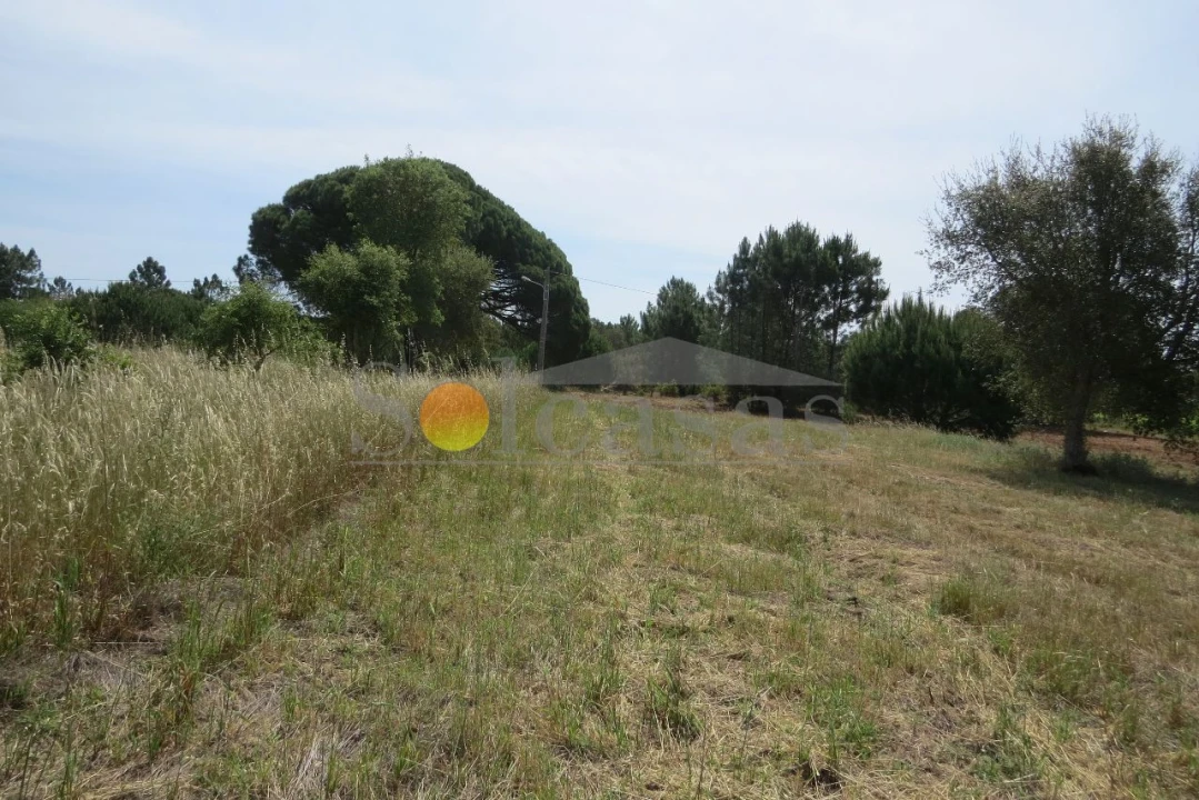 Terreno para Venda em Melides Foto 6