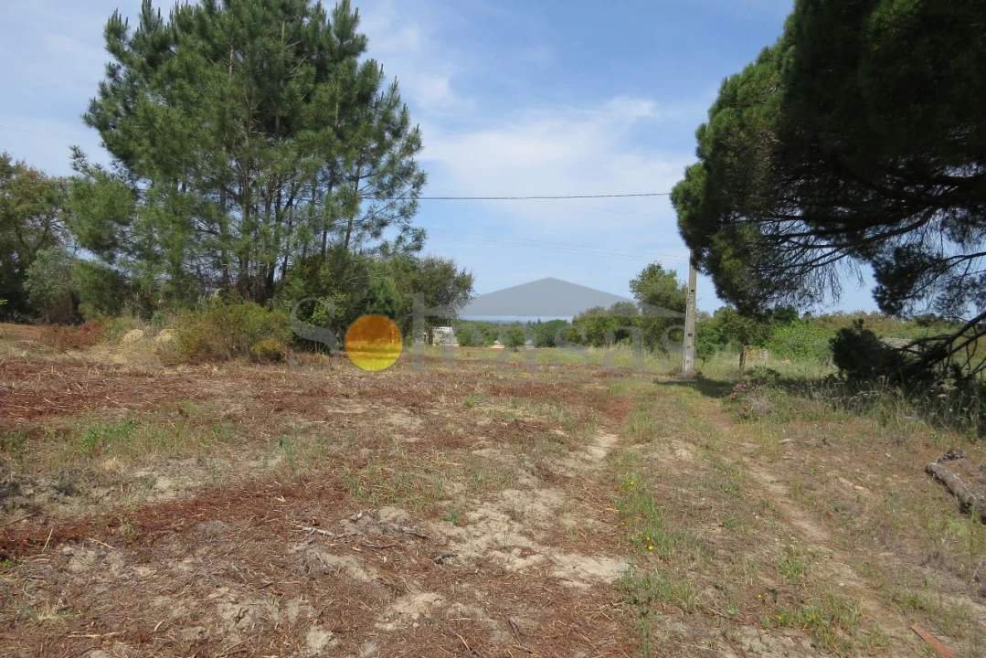 Terreno para Venda em Melides Foto 7