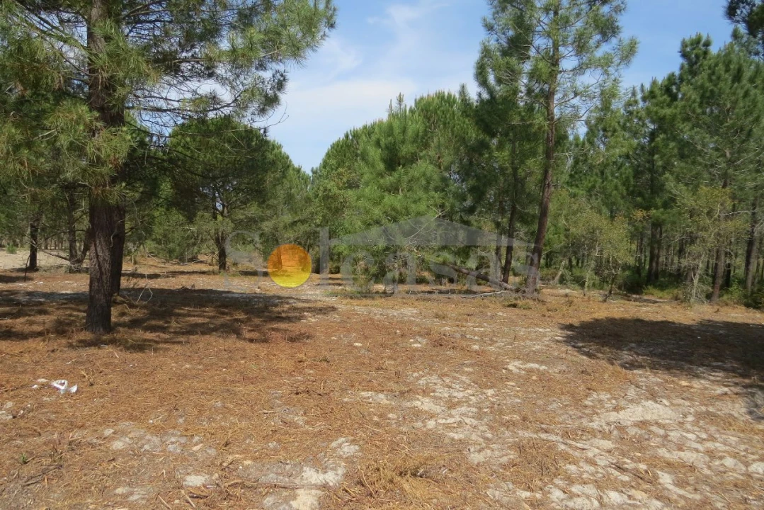Terreno para Venda em Melides Foto 8
