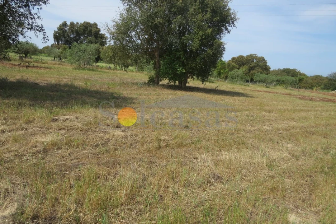 Terreno para Venda em Melides Foto 11
