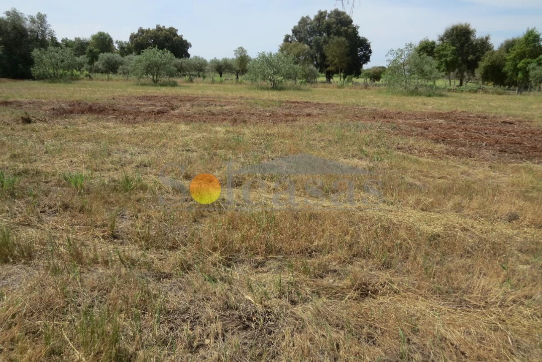 Terreno para Venda em Melides Foto 10