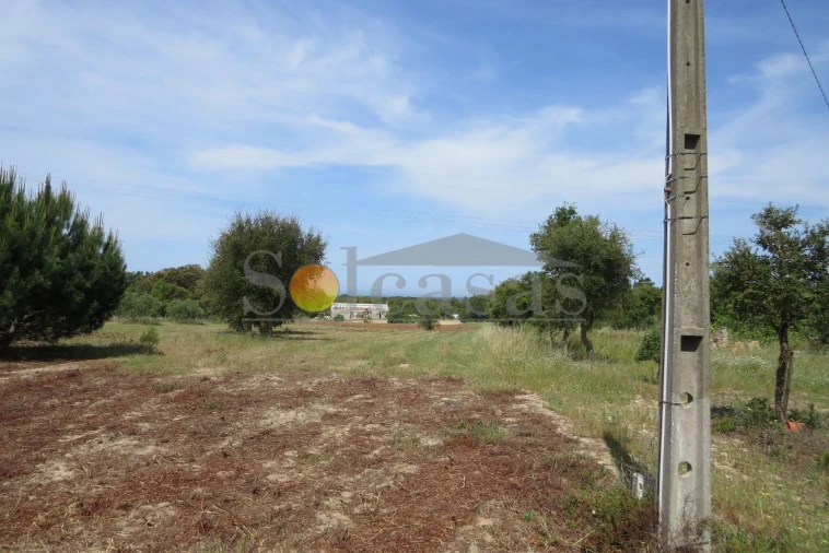 Terreno para Venda em Melides Foto 4