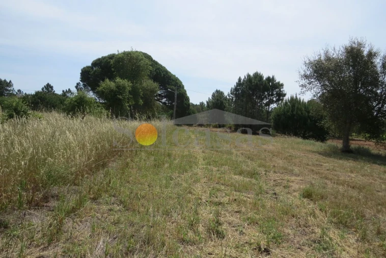 Terreno para Venda em Melides Foto 6