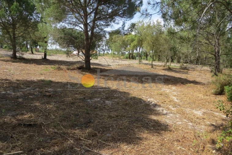 Terreno para Venda em Melides Foto 12