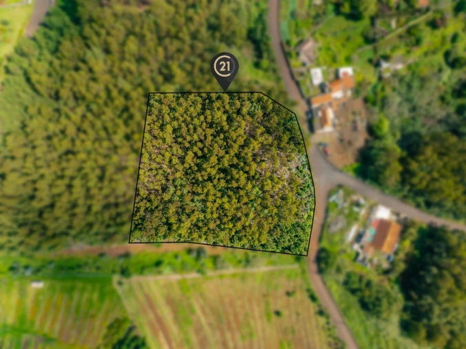 Terreno para Venda em Santa Cruz Foto 7