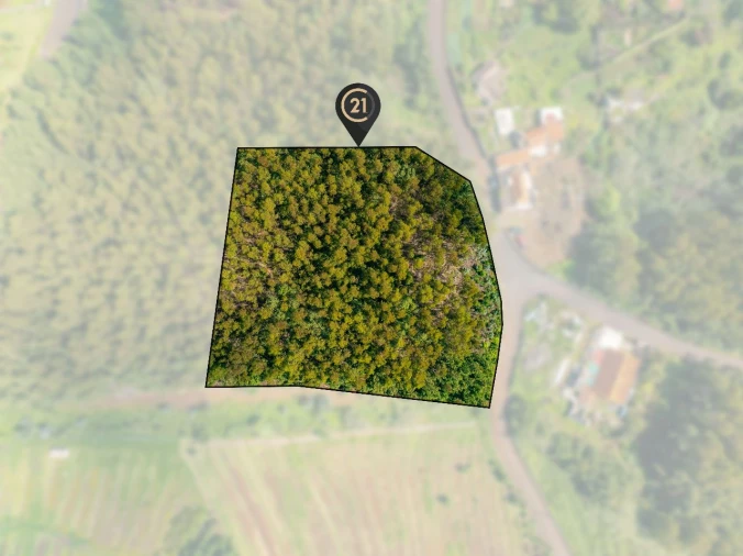 Terreno para Venda em Santa Cruz Foto 12