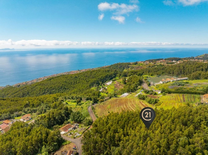 Terreno para Venda em Santa Cruz Foto 4