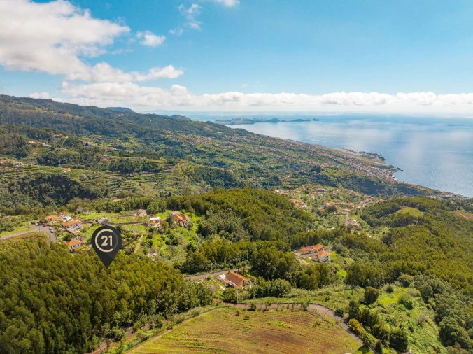 Terreno para Venda em Santa Cruz