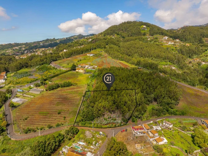 Terreno para Venda em Santa Cruz Foto 9