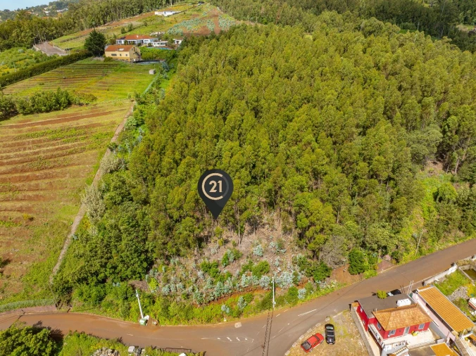 Terreno para Venda em Santa Cruz Foto 10