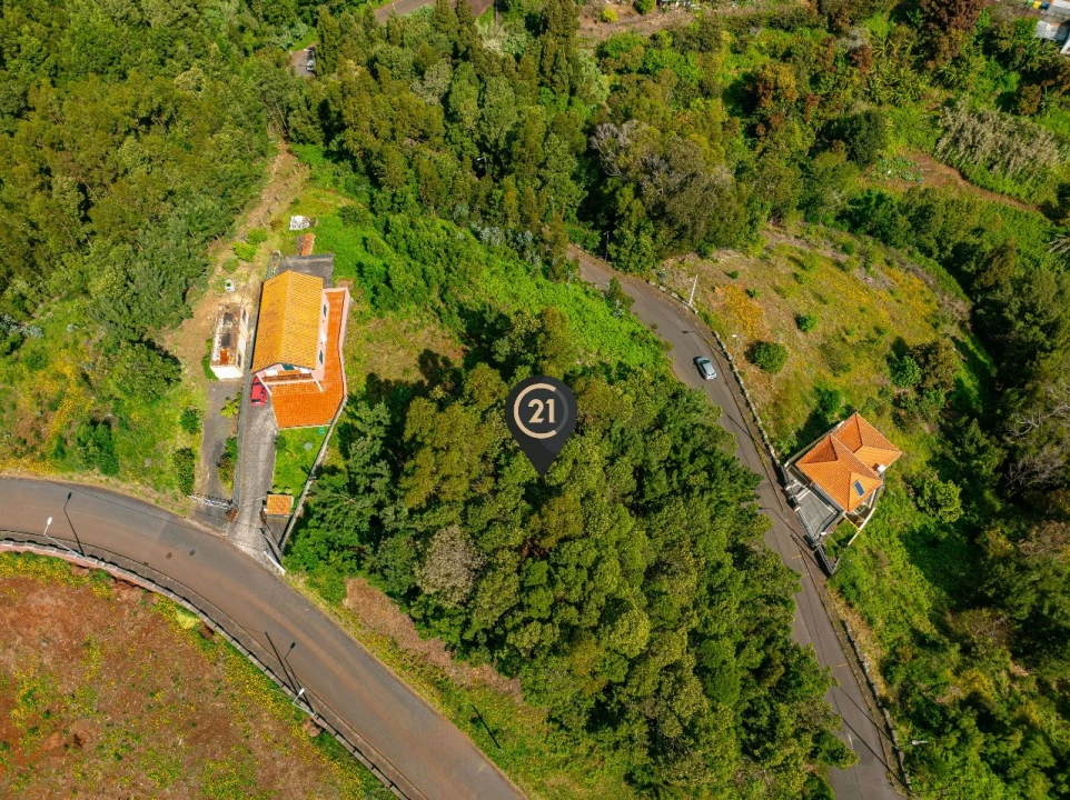 Terreno para Venda em Santa Cruz Foto 9