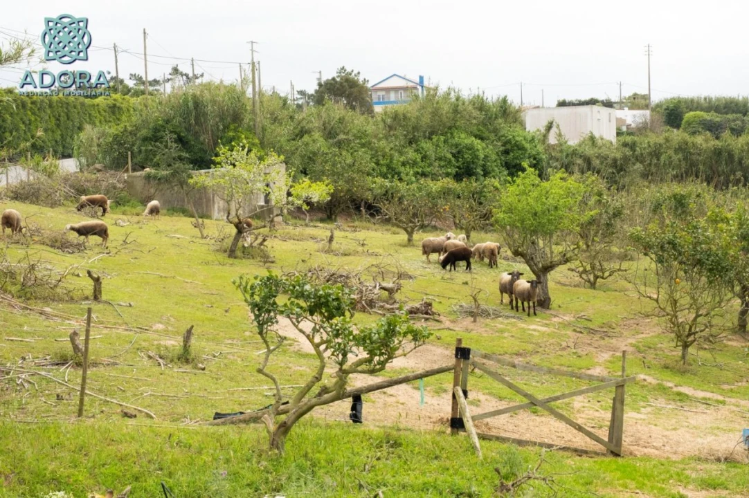 Quinta T4 para Venda em Sobreiro Foto 21