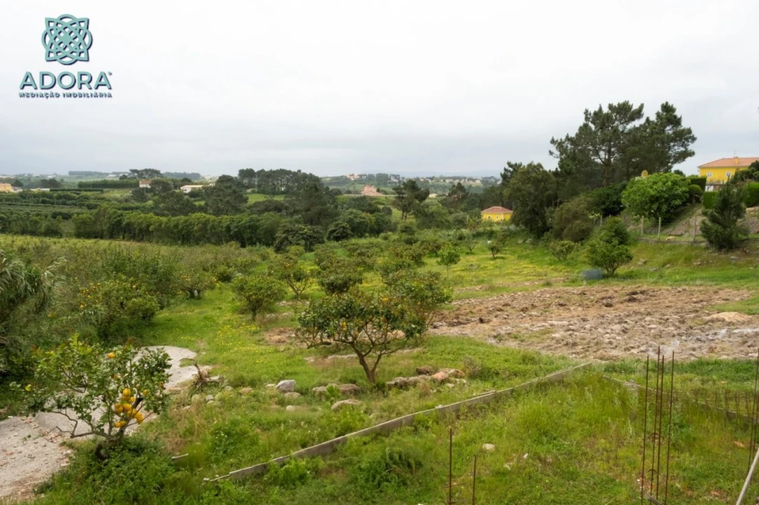 Quinta T4 para Venda em Sobreiro Foto 22