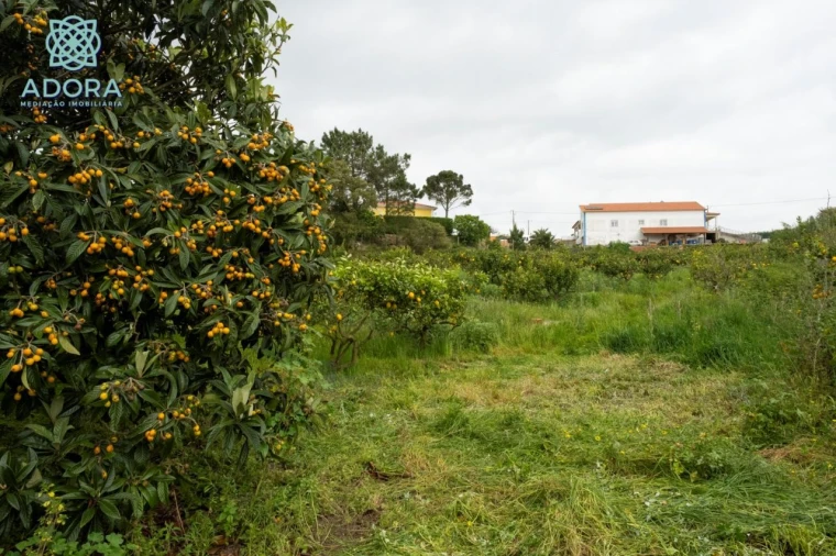 Quinta T4 para Venda em Sobreiro Foto 7