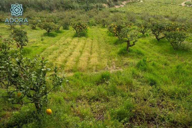 Quinta T4 para Venda em Sobreiro Foto 13