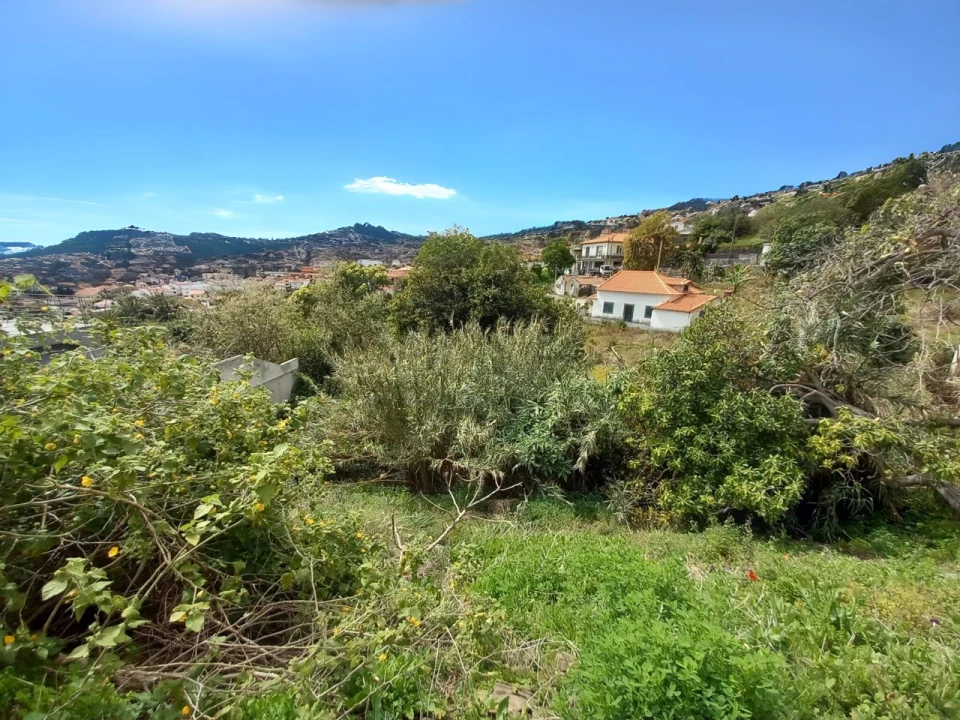 Terreno P/ Prédio para Venda em Funchal Foto 4