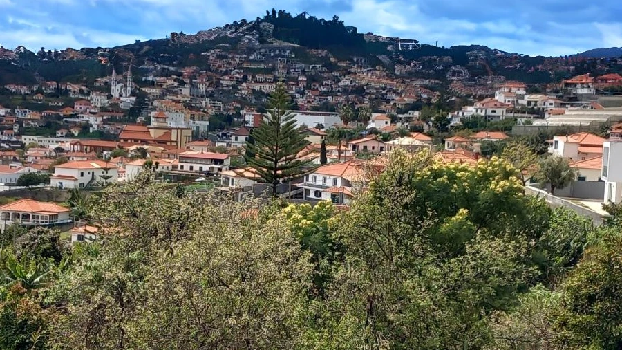 Terreno P/ Prédio para Venda em Funchal