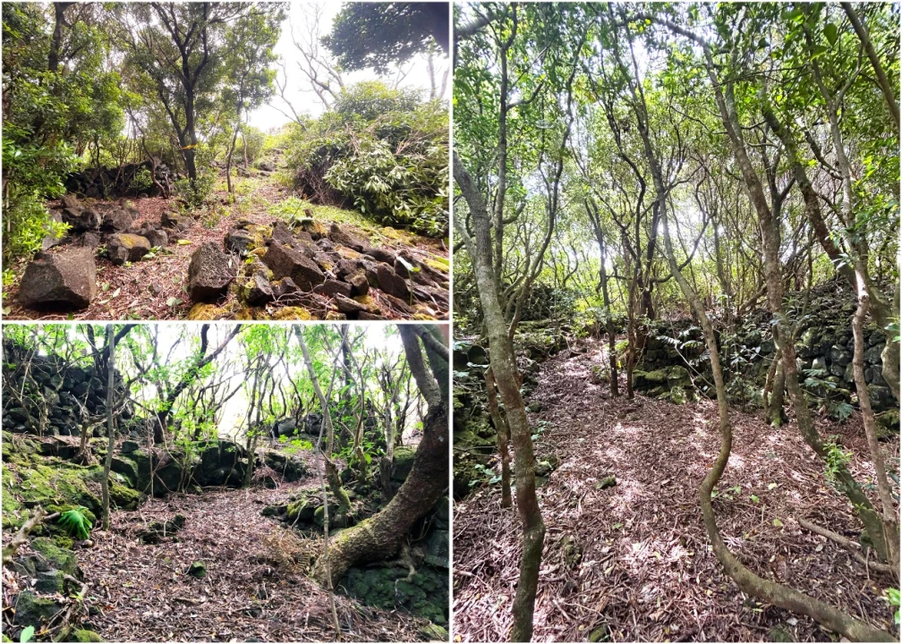 Terreno para Venda em Santana Foto 16