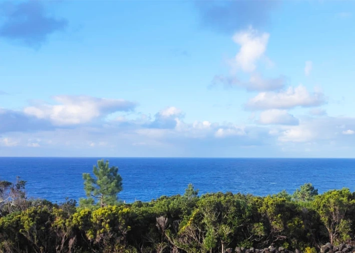 Terreno para Venda em Santana Foto 2