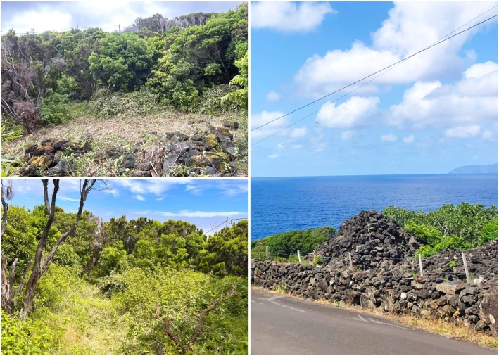 Terreno para Venda em Santana Foto 13