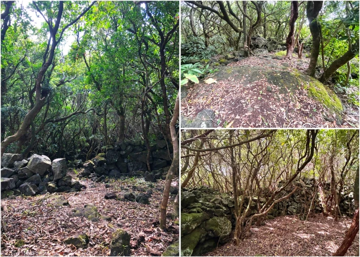 Terreno para Venda em Santana Foto 15