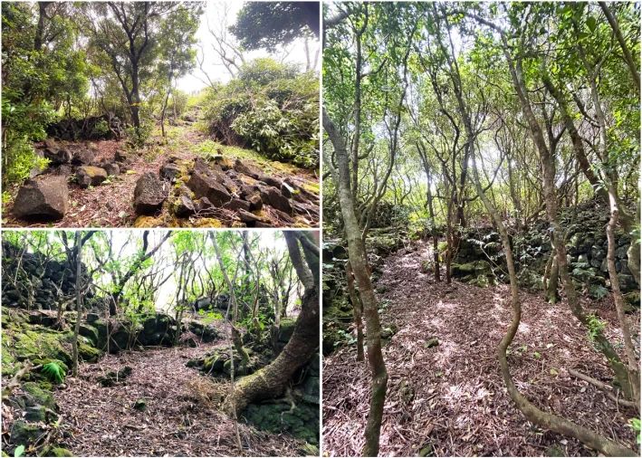 Terreno para Venda em Santana Foto 16