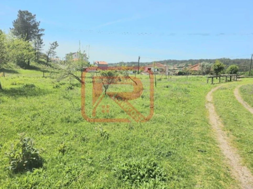 Moradia T3 para Venda em Monte Córdova Foto 30