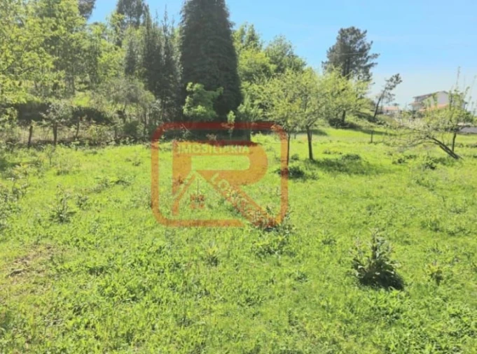 Moradia T3 para Venda em Monte Córdova Foto 26