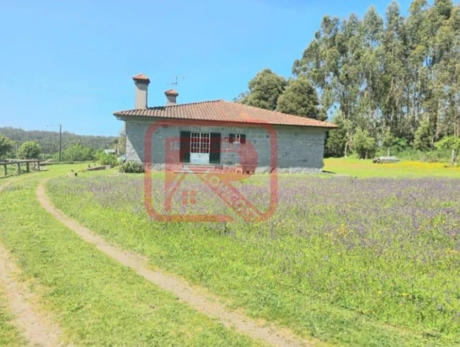 Moradia T3 para Venda em Monte Córdova Foto 28