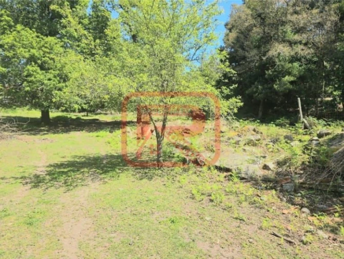 Moradia T3 para Venda em Monte Córdova Foto 33