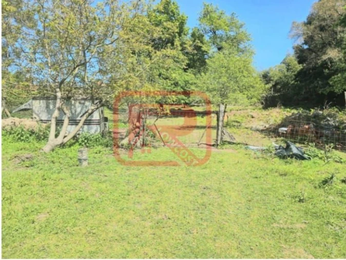 Moradia T3 para Venda em Monte Córdova Foto 38